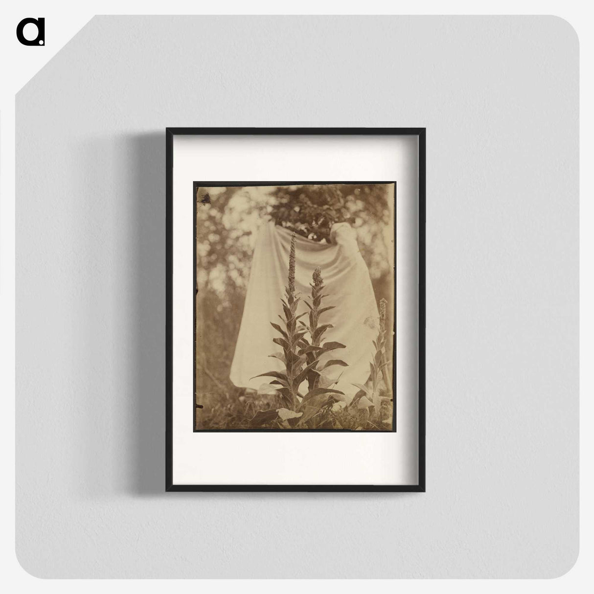 1-88_Eugene-Atget_blk