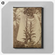 1-88_Eugene-Atget_canvas