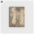 1-88_Eugene-Atget_memo