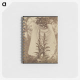 1-88_Eugene-Atget_memo