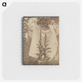 1-88_Eugene-Atget_memo