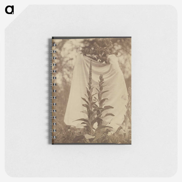 1-88_Eugene-Atget_memo