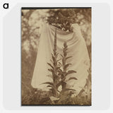 1-88_Eugene-Atget_picture-crop