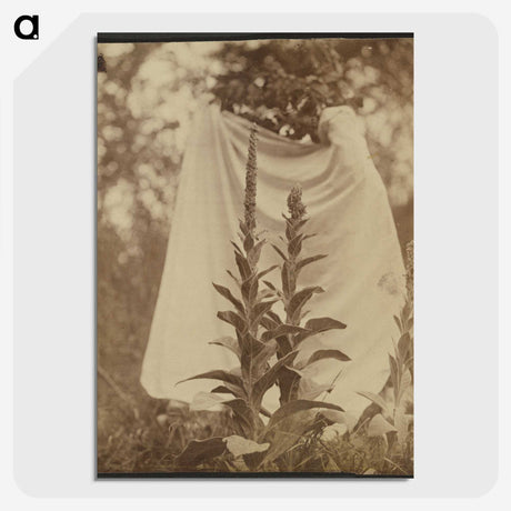 1-88_Eugene-Atget_picture-crop