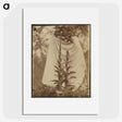 1-88_Eugene-Atget_picture