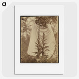 1-88_Eugene-Atget_picture