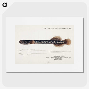 1-88_Frank-Edward-Clarke_picture