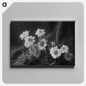 1-88_Frederick-Charles-Brockett_canvas