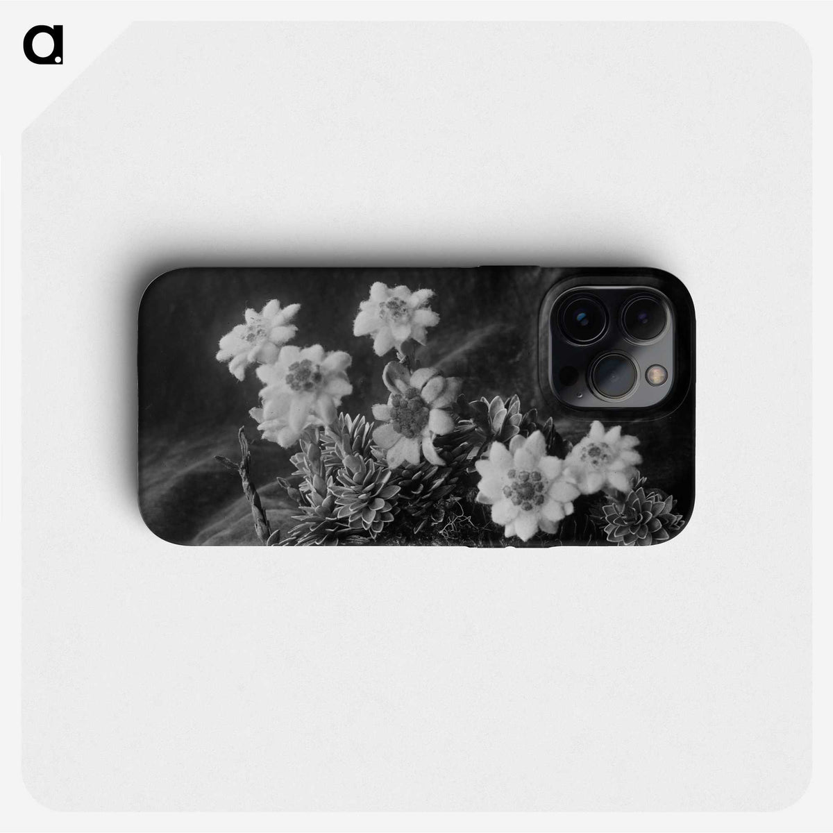 1-88_Frederick-Charles-Brockett_phone