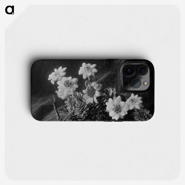 1-88_Frederick-Charles-Brockett_phone