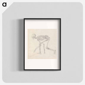 アートポスター-Human Skeleton, Lateral View
 - ジョージ スタッブス Poster.