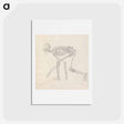 アートポストカード-Human Skeleton, Lateral View
 - ジョージ スタッブス Postcard.