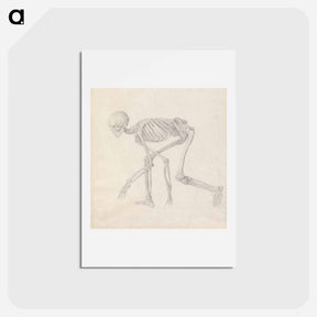 アートポストカード-Human Skeleton, Lateral View
 - ジョージ スタッブス Postcard.
