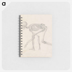 アートメモ帳-Human Skeleton, Lateral View
 - ジョージ スタッブス Memo.