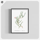 1-88_Histoire-des-Plantes-Grasses_blk-crop