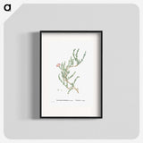 1-88_Histoire-des-Plantes-Grasses_blk