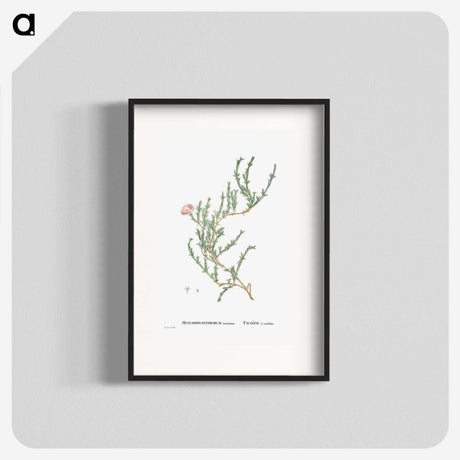 1-88_Histoire-des-Plantes-Grasses_blk