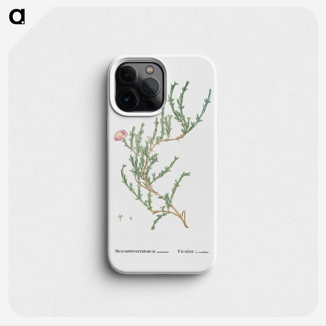 1-88_Histoire-des-Plantes-Grasses_phone