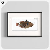 1-88_Ichtyologie-ou-Histoire-naturelle_blk