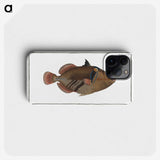1-88_Ichtyologie-ou-Histoire-naturelle_phone