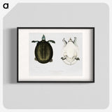 1-88_Indian-Zoology_blk
