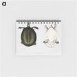 1-88_Indian-Zoology_memo