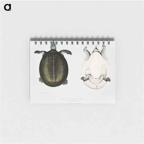 1-88_Indian-Zoology_memo