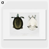 1-88_Indian-Zoology_picture