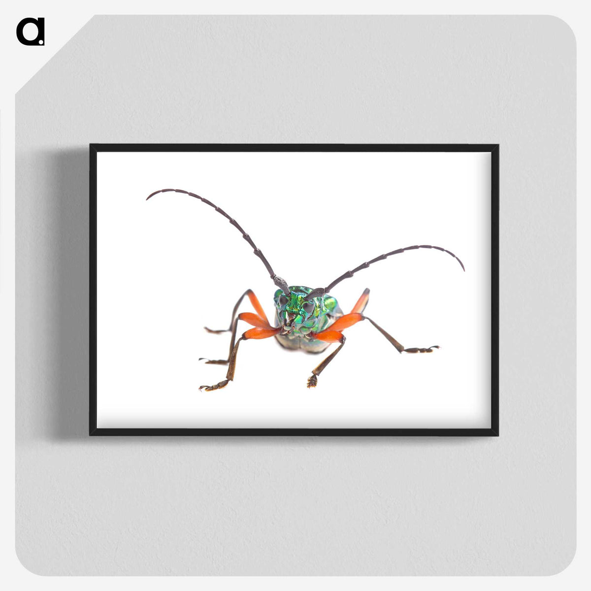 1-88_Insects-Unlocked-Project_blk-crop