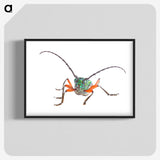 1-88_Insects-Unlocked-Project_blk-crop