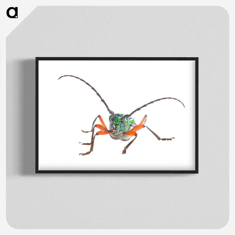 1-88_Insects-Unlocked-Project_blk-crop