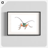 1-88_Insects-Unlocked-Project_blk