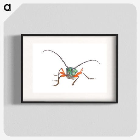 1-88_Insects-Unlocked-Project_blk