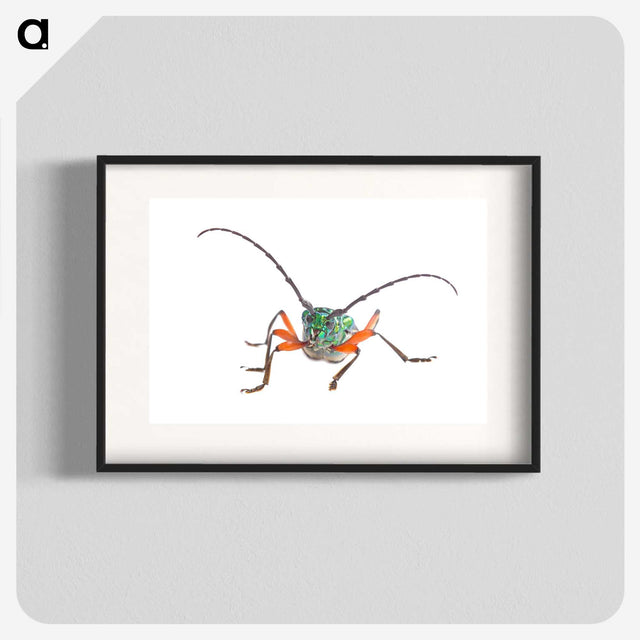 1-88_Insects-Unlocked-Project_blk