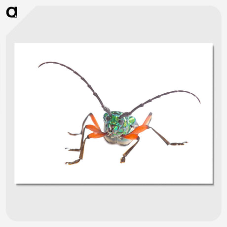 1-88_Insects-Unlocked-Project_picture-crop