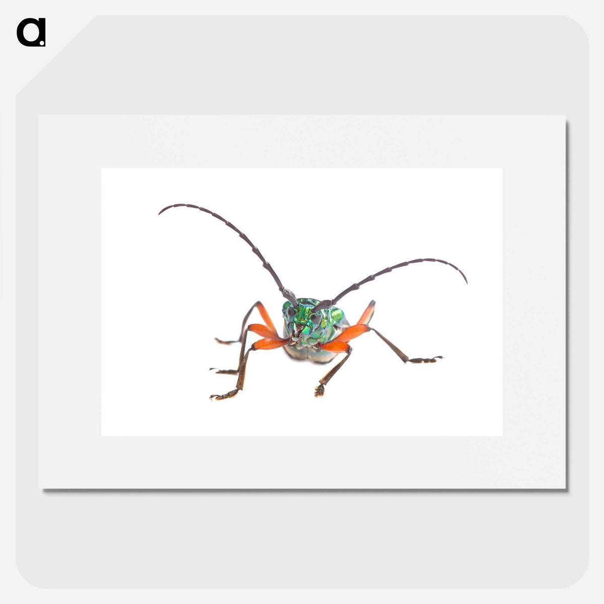 1-88_Insects-Unlocked-Project_picture