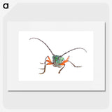 1-88_Insects-Unlocked-Project_picture