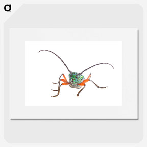 1-88_Insects-Unlocked-Project_picture