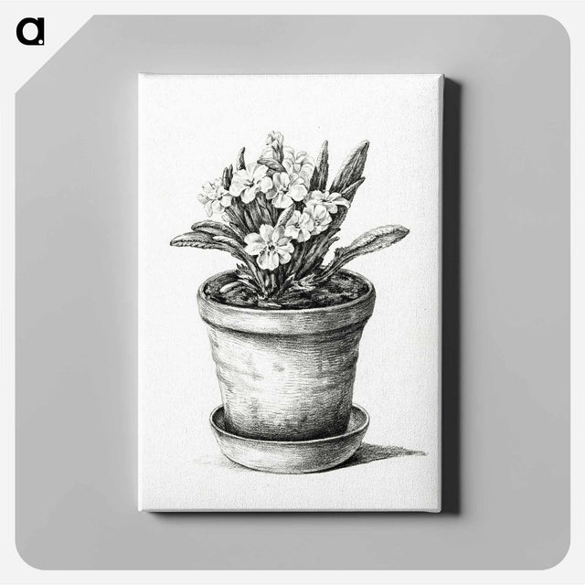 アートパネル-Potted plant - ジャン ベルナール Canvas.