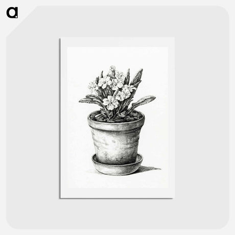 アートポストカード-Potted plant - ジャン ベルナール Postcard.