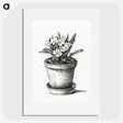 1-88_Jean-Bernard_picture