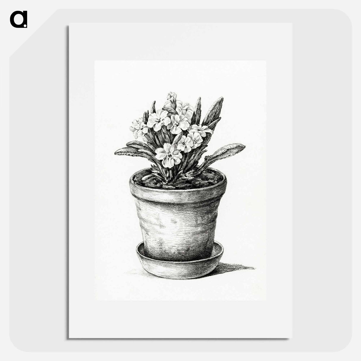 Potted plant - Jean Bernard Poster.
