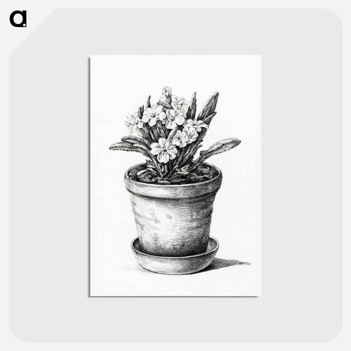 アートポストカード-Potted plant - ジャン ベルナール Postcard.