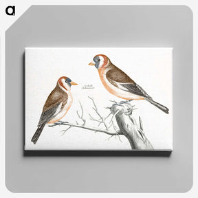1-88_Johan-Teyler_canvas