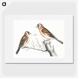 1-88_Johan-Teyler_picture