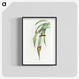1-88_John-Gould_blk-crop