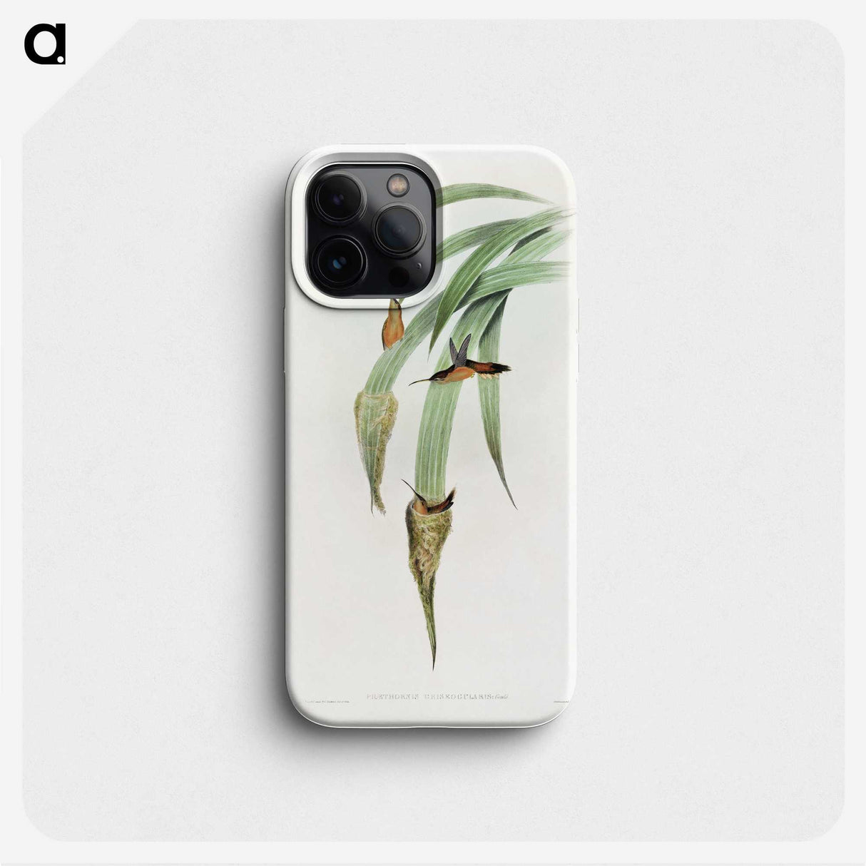 1-88_John-Gould_phone