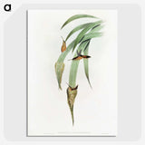 1-88_John-Gould_picture-crop