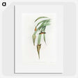 1-88_John-Gould_picture