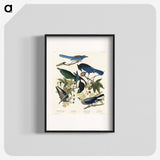 1-88_John-James-Audubon_blk
